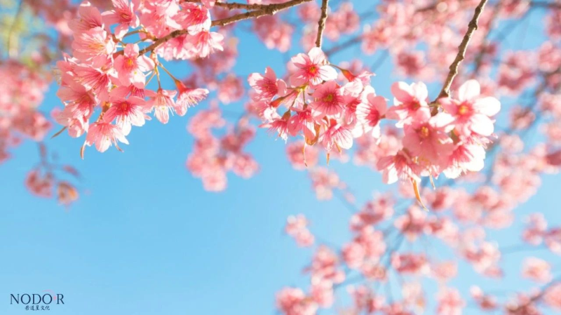 1712454755614026121.png image.png