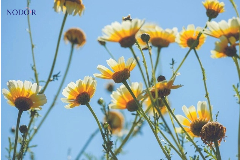 1714010951621058666.png image.png