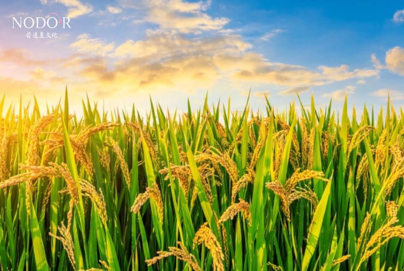 1714011008829077270.png image.png