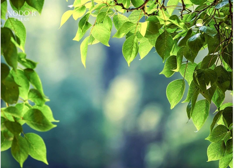 1714442239745006663.png image.png