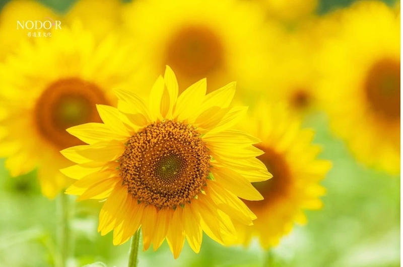 1714442263615033818.png image.png