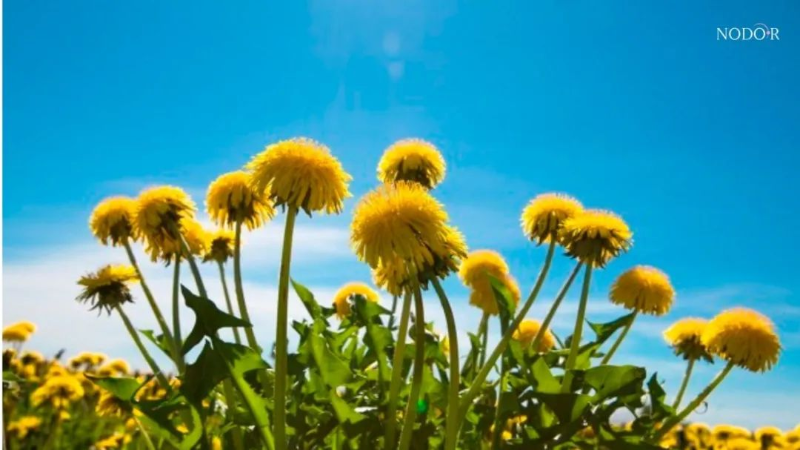 1719799517345062423.png image.png