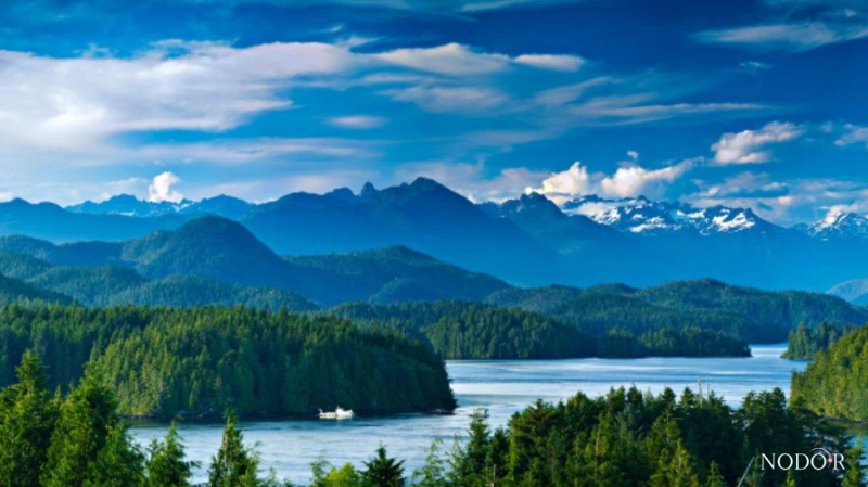 1719798996479066777.png image.png