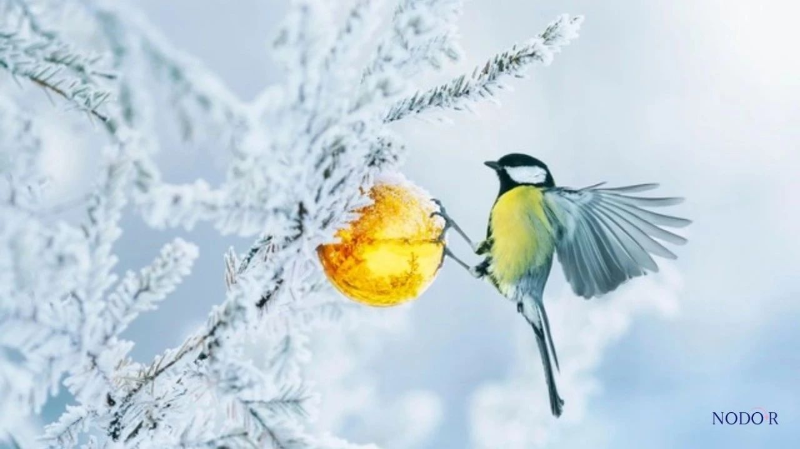 1721612114102006151.png image.png