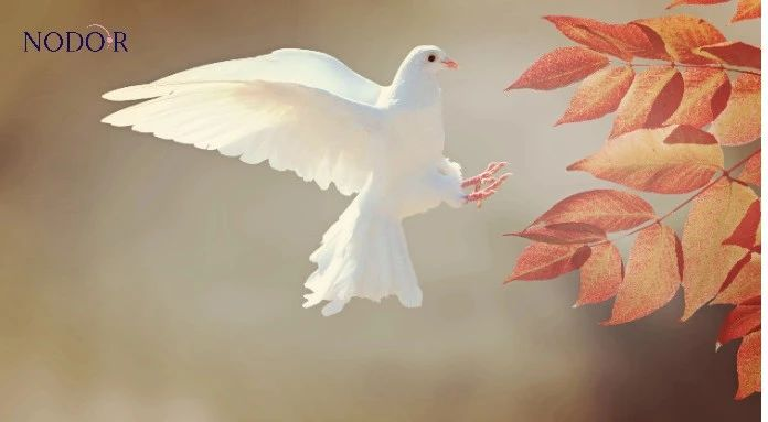 1723603856224086355.png image.png