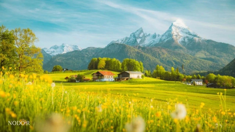 1724032023162005989.png image.png